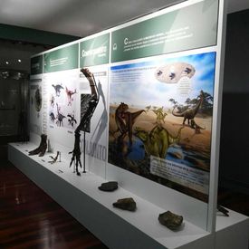 Architecnica Creativos museo paleontológico 11