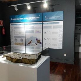 Architecnica Creativos museo paleontológico 6